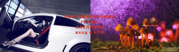 не бодяженный Алексин