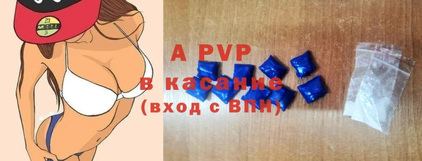 эйфоретик Арсеньев