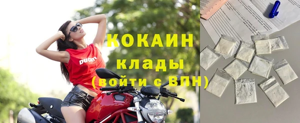 эйфоретик Арсеньев