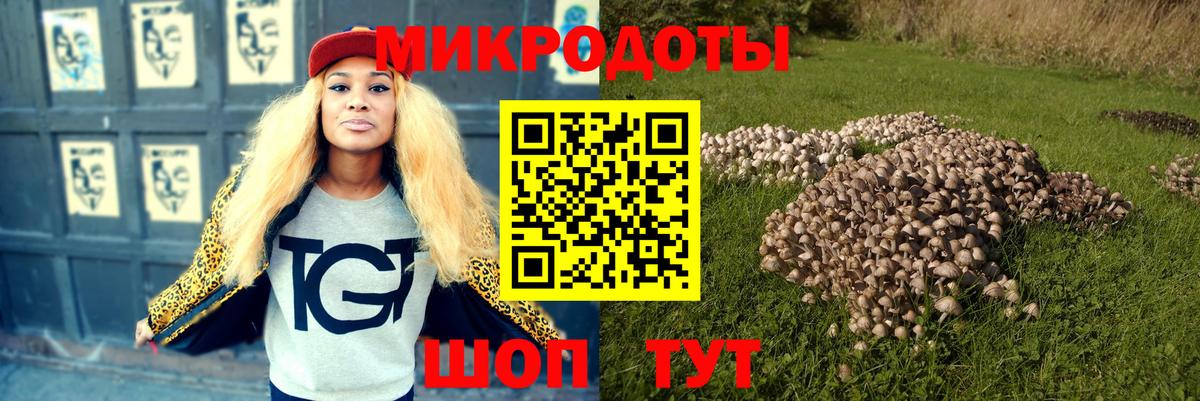 Псилоцибиновые грибы GOLDEN TEACHER  Вход с VPN  Асбест 